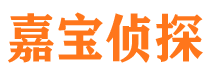 岗巴寻人公司